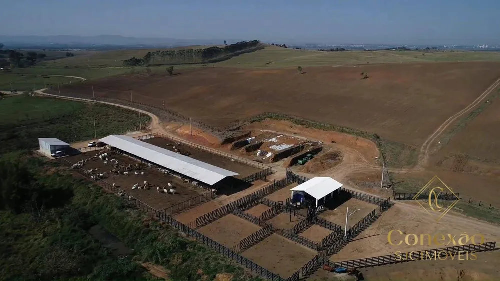 Fazenda, 257 hectares - Foto 7