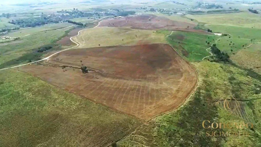 Fazenda, 257 hectares - Foto 11