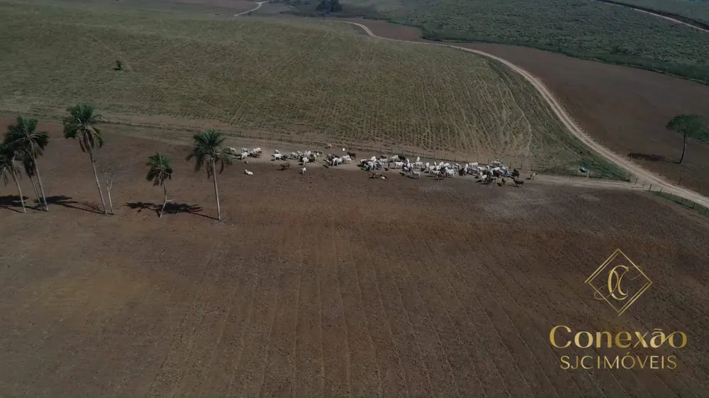 Fazenda, 257 hectares - Foto 2