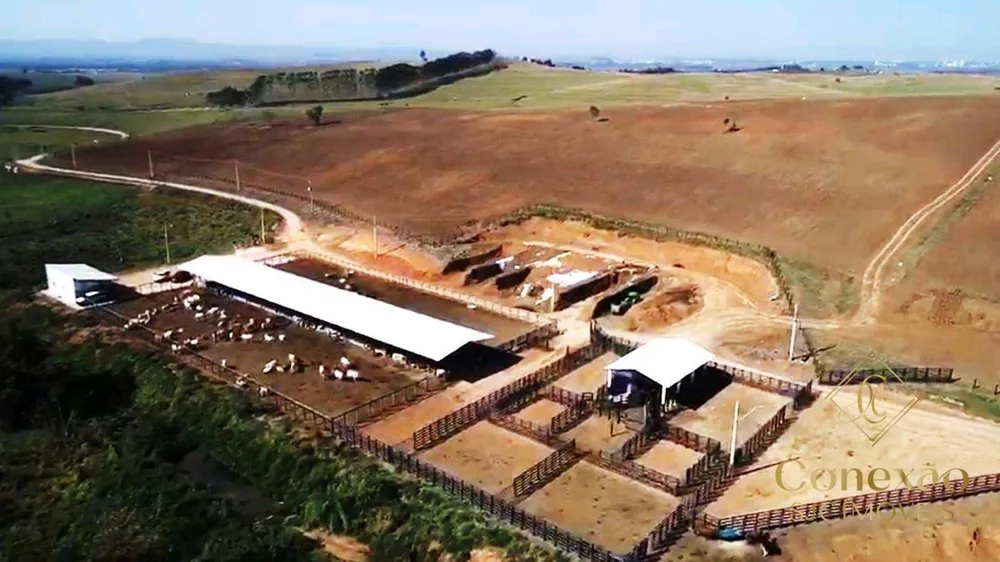 Fazenda, 257 hectares - Foto 10