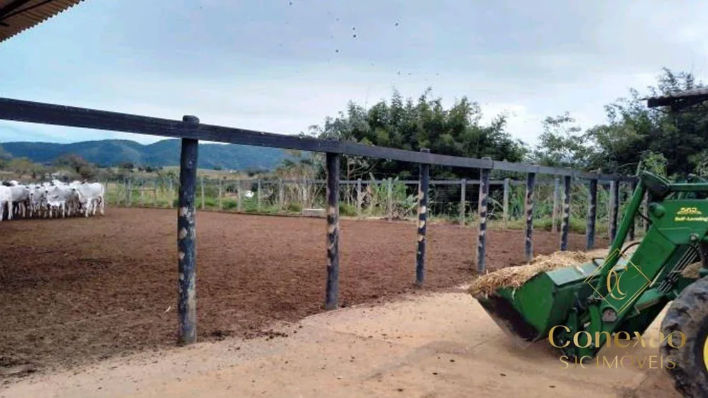 Fazenda, 257 hectares - Foto 9