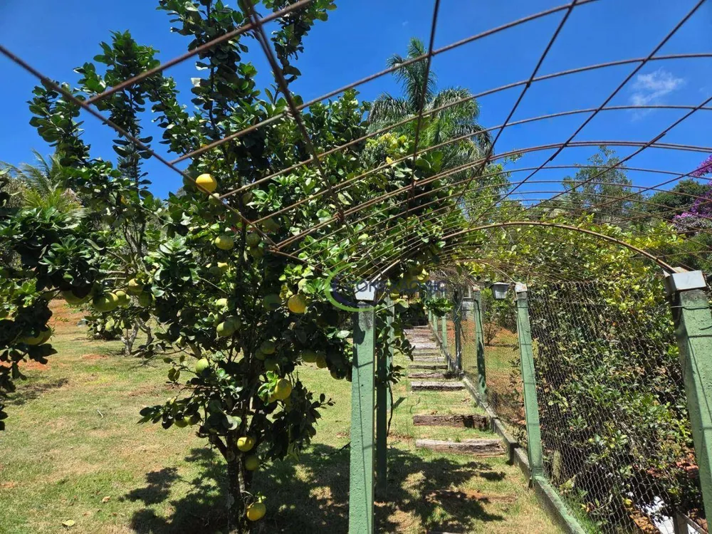 Loteamento e Condomínio, 1000 m² - Foto 1