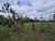Sítio, 3 quartos, 2 hectares - Foto 4