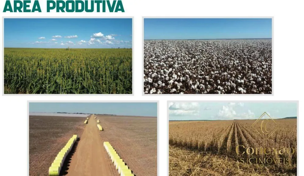 Fazenda, 27 hectares - Foto 2