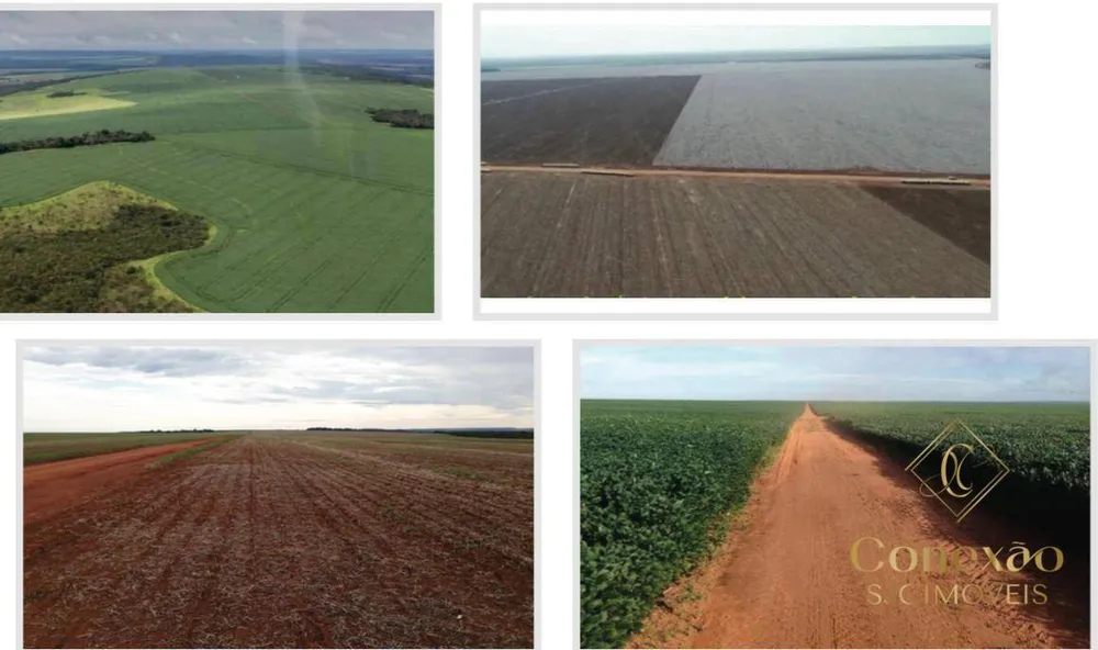 Fazenda, 27 hectares - Foto 3