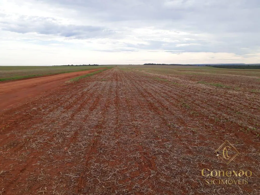 Fazenda, 27 hectares - Foto 10