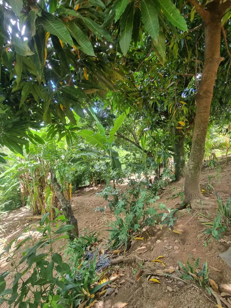 Chácara, 2 quartos - Foto 6