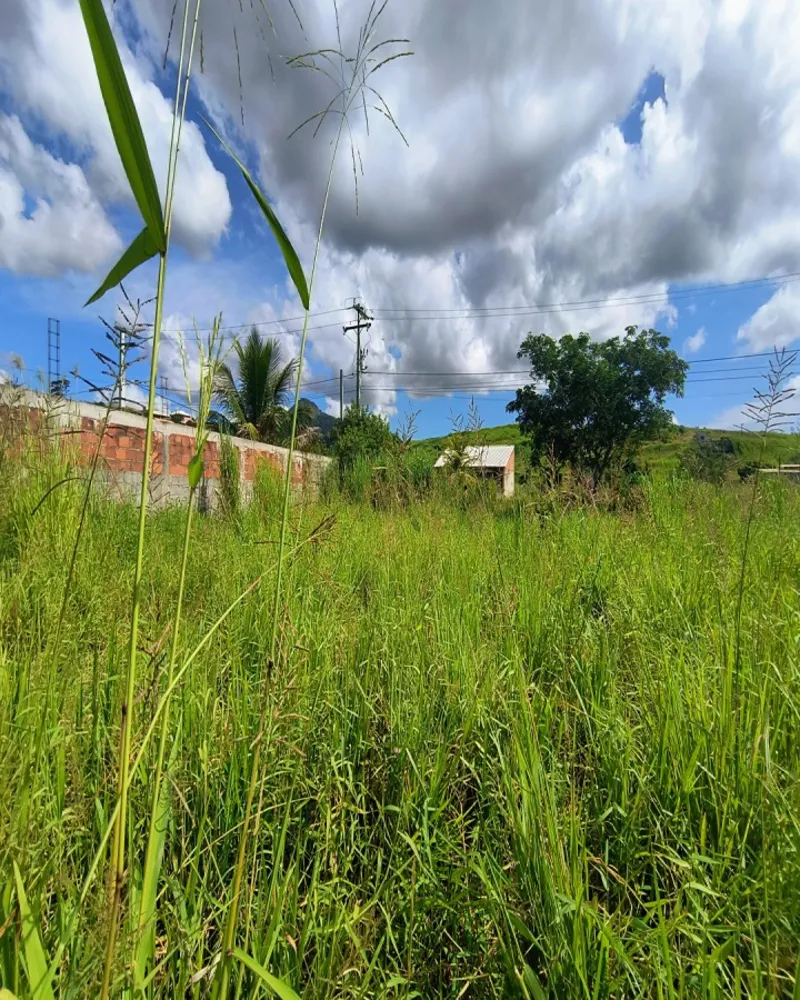 Terreno, 450 m² - Foto 5