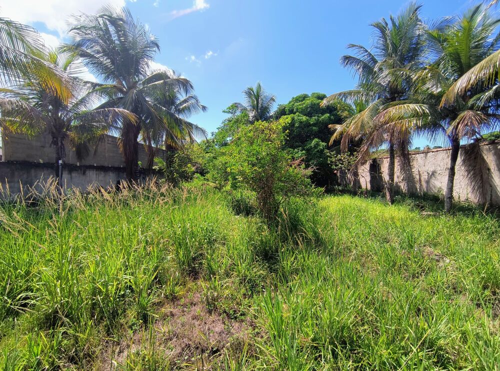 Casa, 2 quartos, 1556 m² - Foto 14