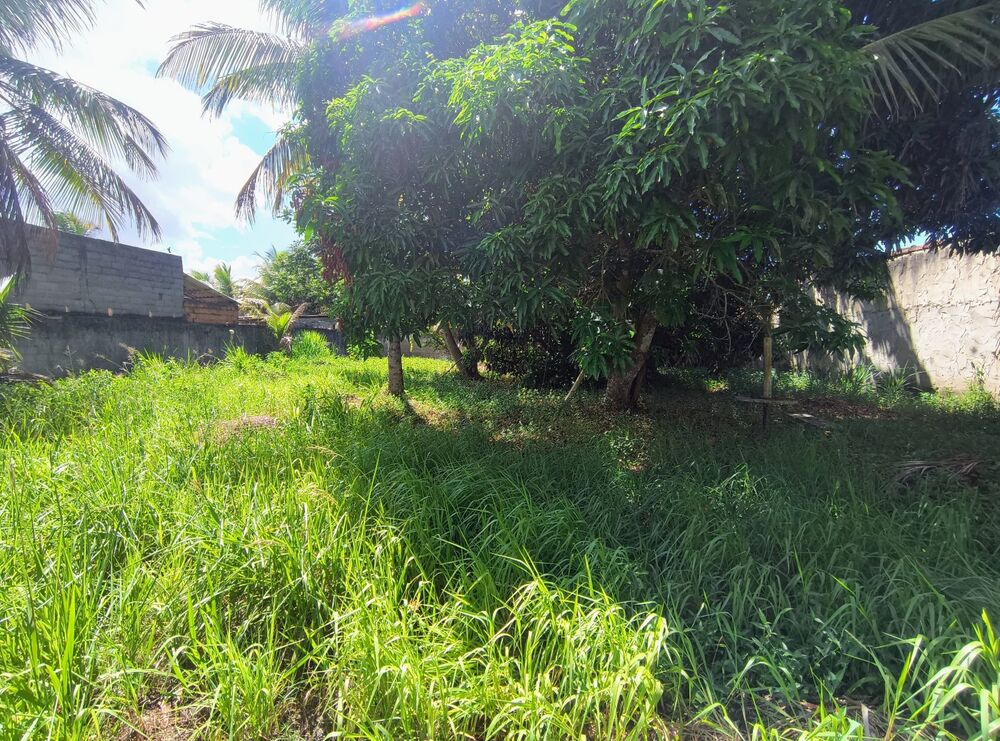 Casa, 2 quartos, 1556 m² - Foto 16