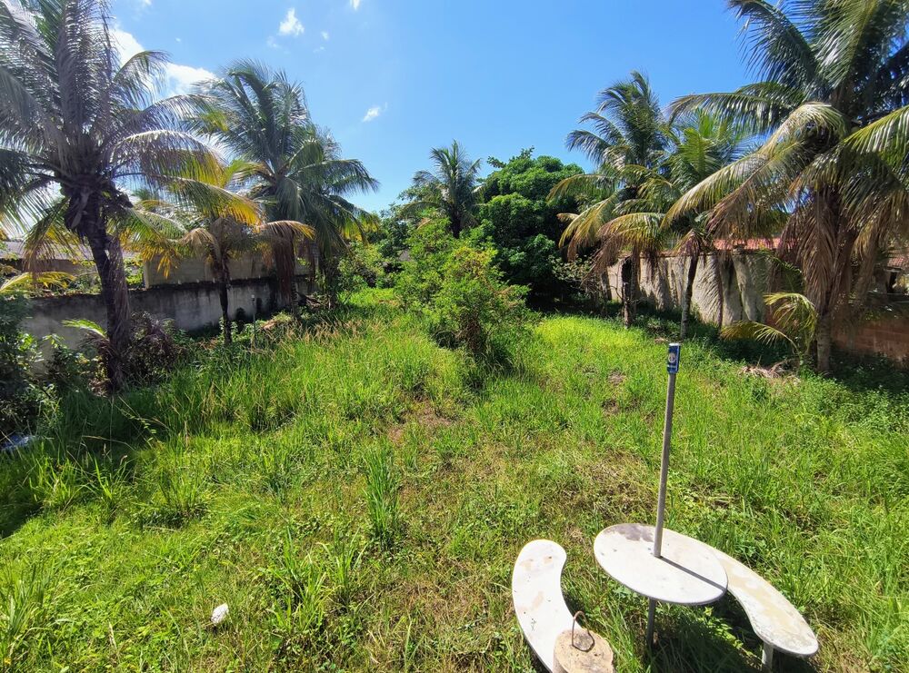 Casa, 2 quartos, 1556 m² - Foto 12