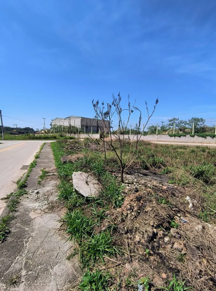 Terreno, 738 m² - Foto 5