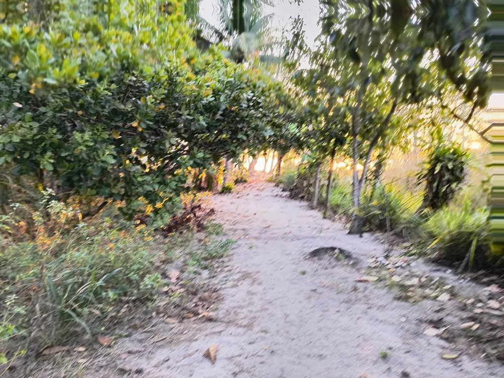 Casa, 2 quartos, 3425 m² - Foto 14