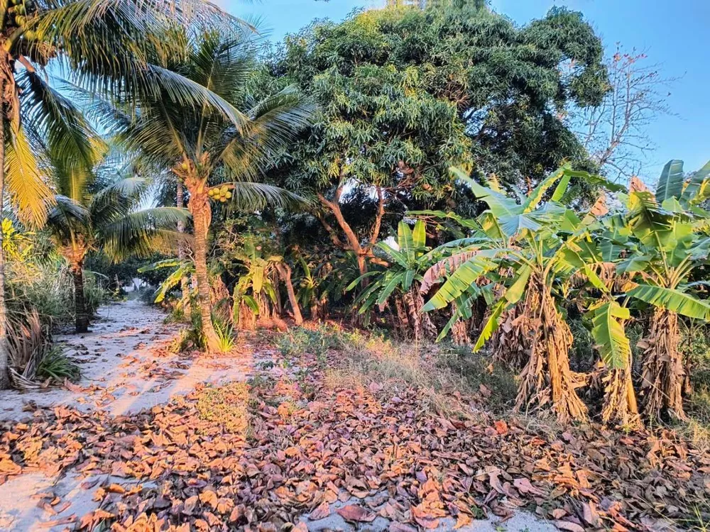 Casa, 2 quartos, 3425 m² - Foto 5