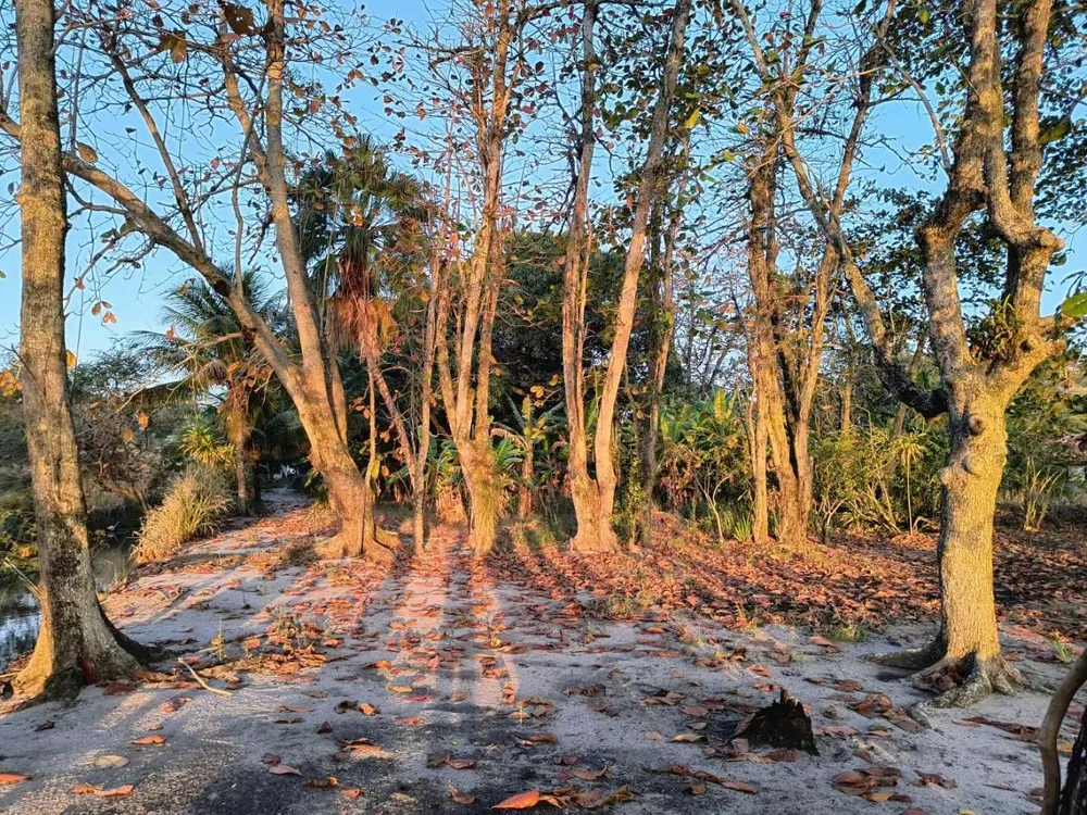 Casa, 2 quartos, 3425 m² - Foto 9