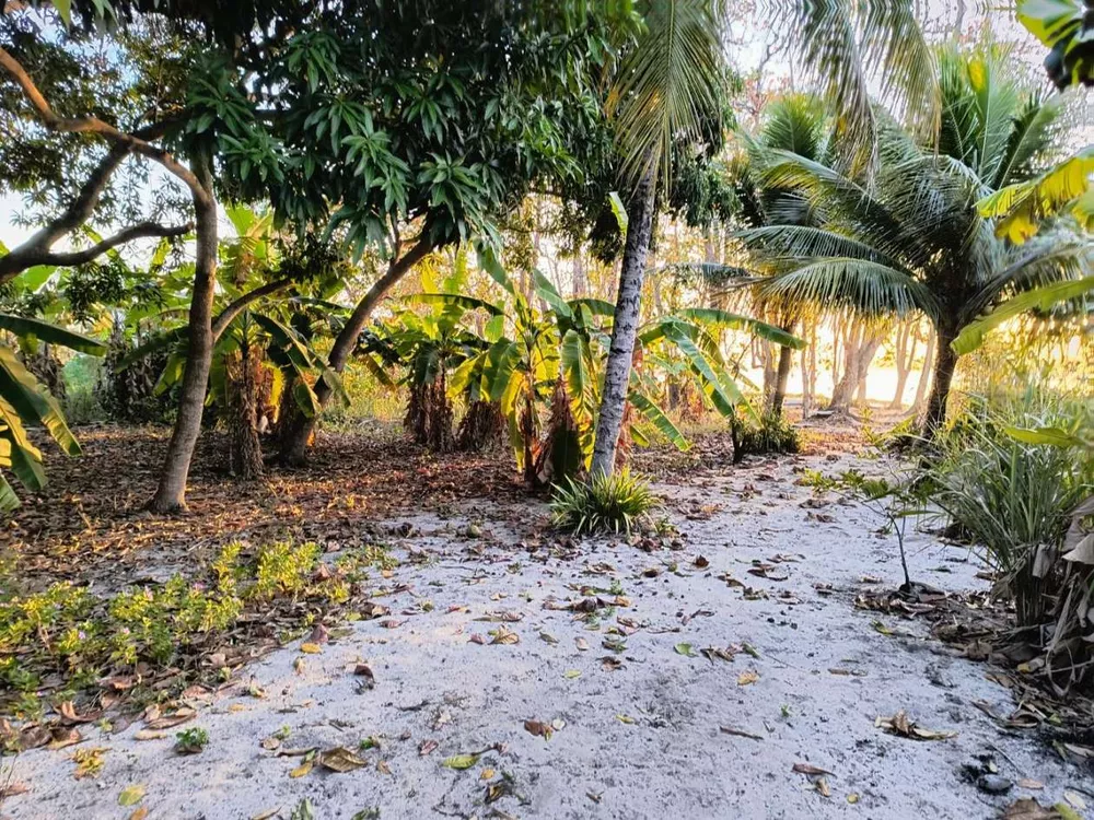 Casa, 2 quartos, 3425 m² - Foto 8