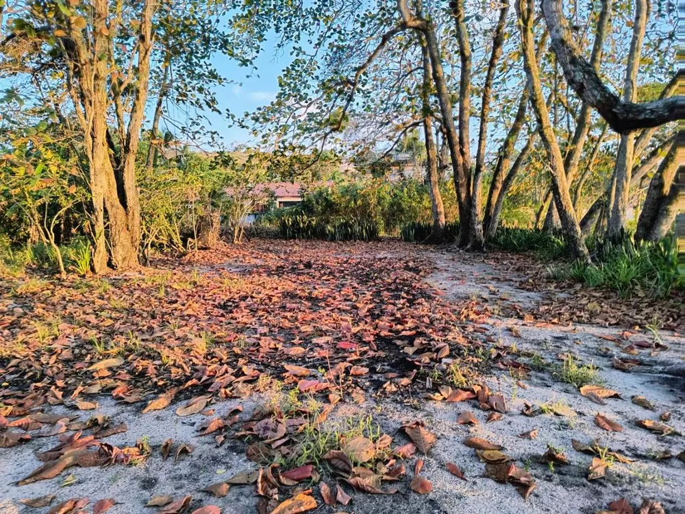 Casa, 2 quartos, 3425 m² - Foto 12