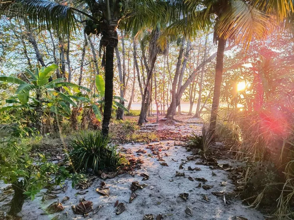 Casa, 2 quartos, 3425 m² - Foto 7