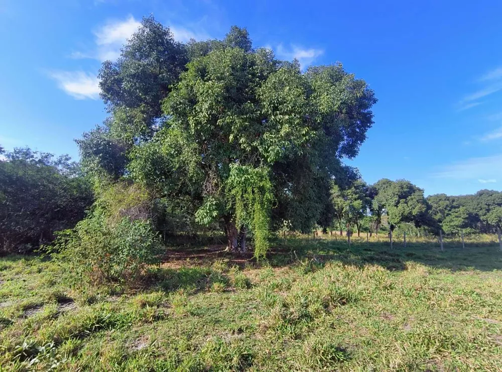 Terreno, 2350 m² - Foto 11