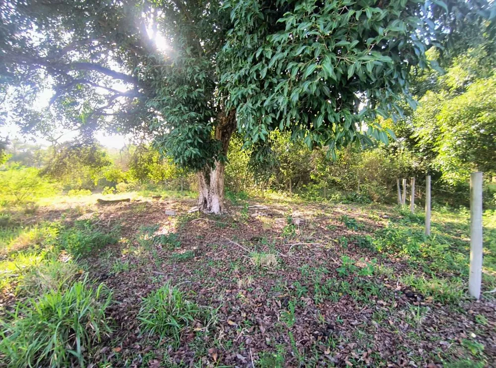 Terreno, 2350 m² - Foto 12