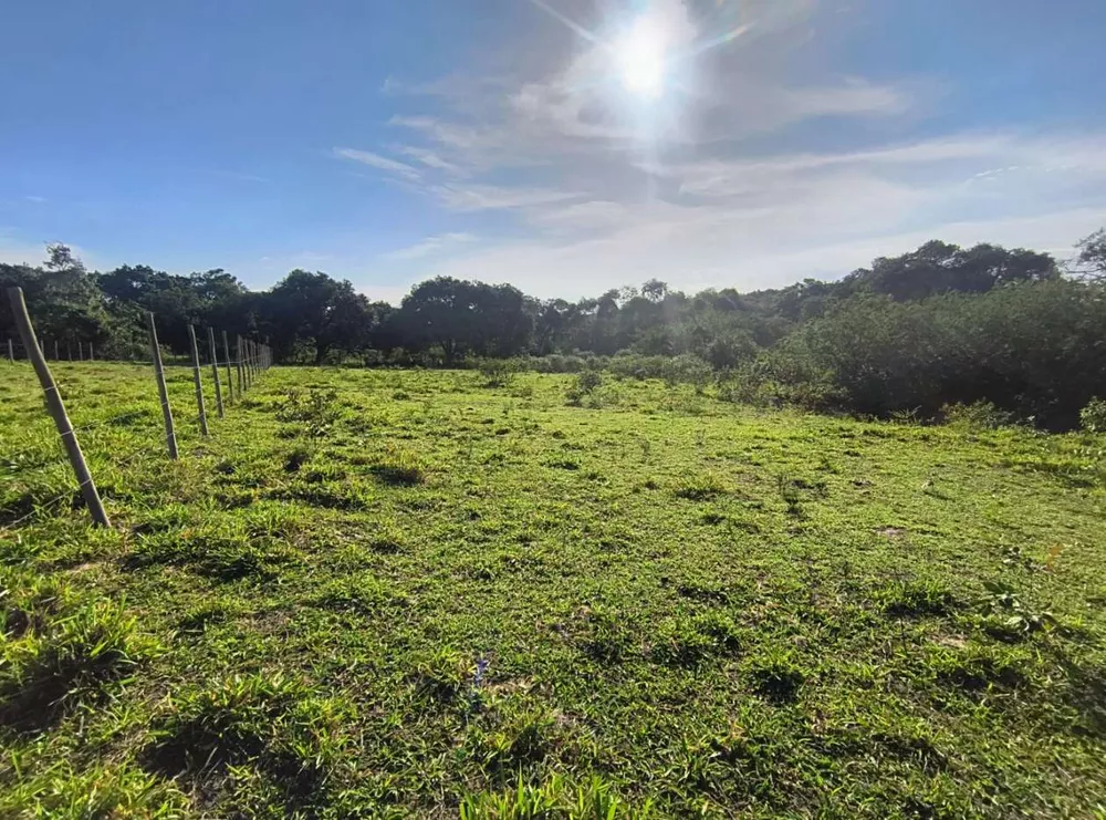 Terreno, 2350 m² - Foto 5