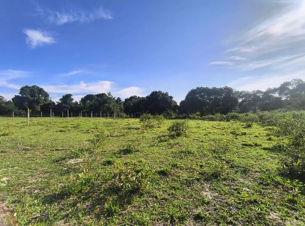 Terreno, 2350 m² - Foto 2