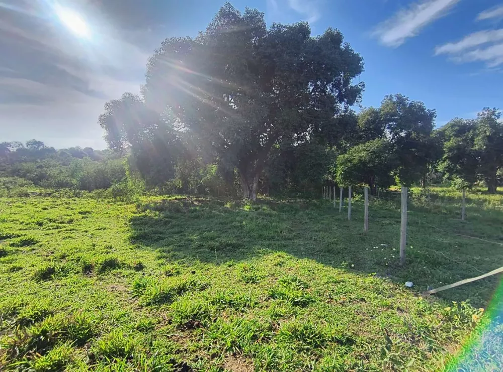 Terreno, 2350 m² - Foto 6