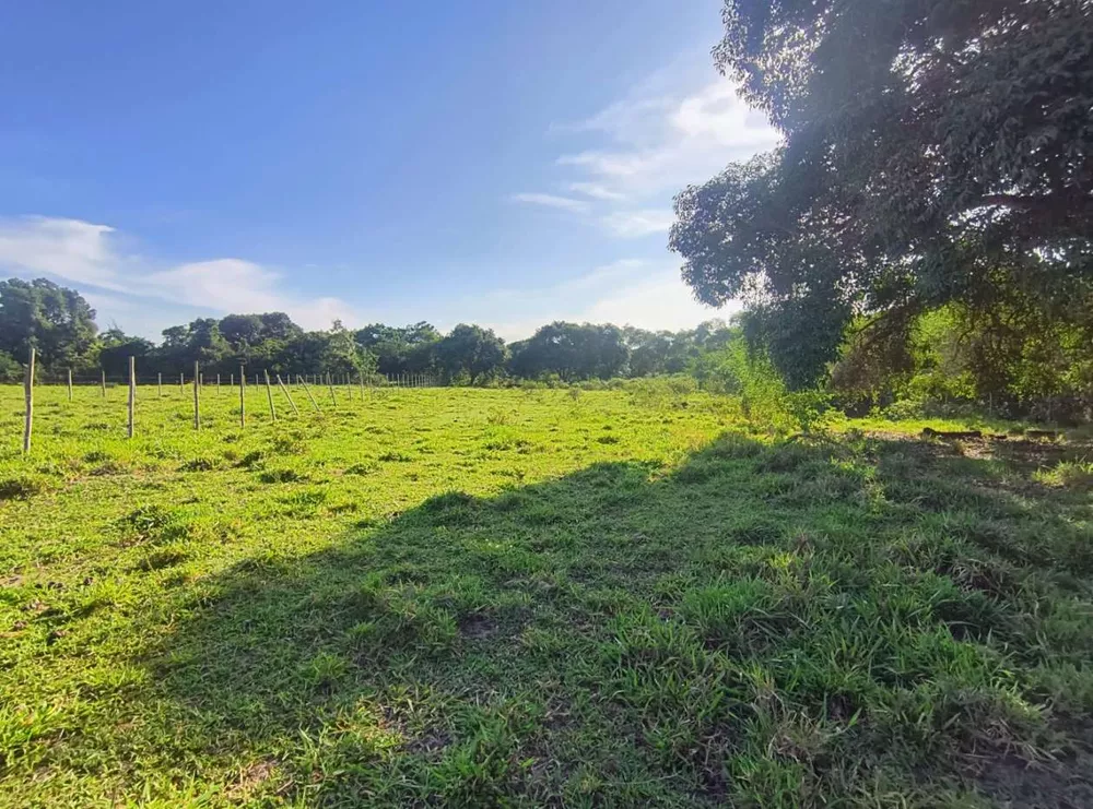 Terreno, 2350 m² - Foto 8