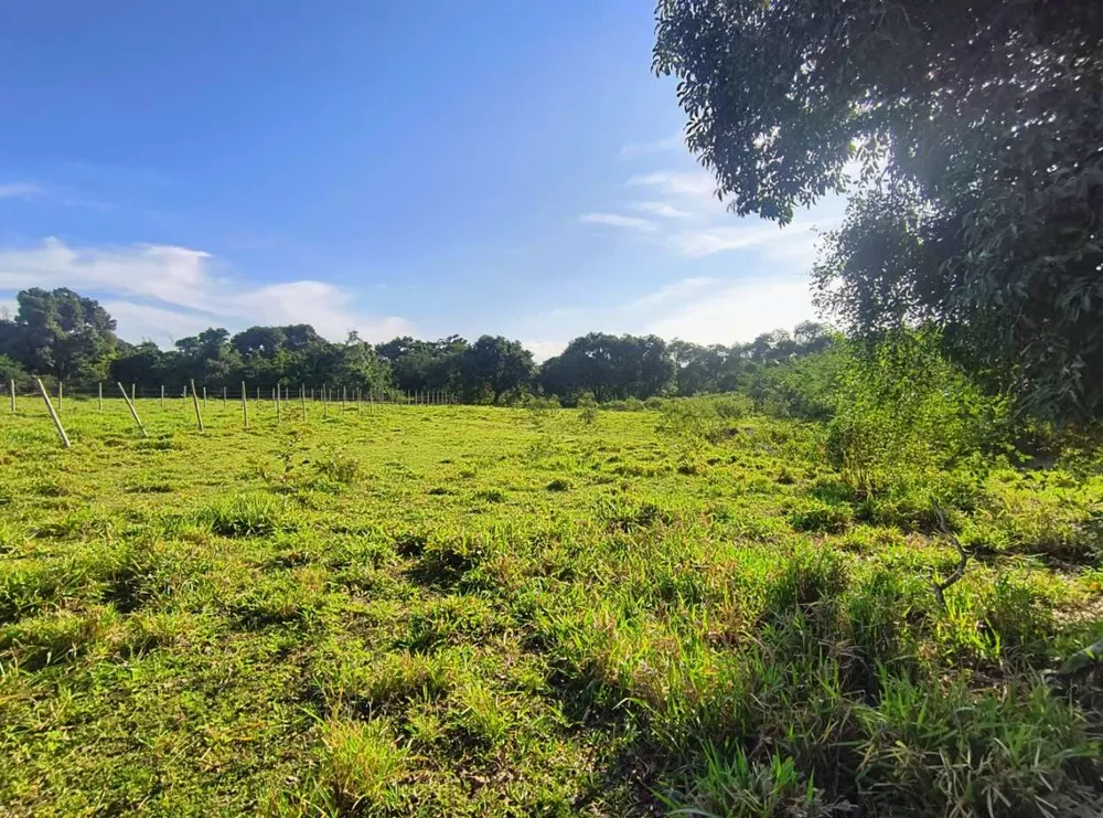 Terreno, 2350 m² - Foto 4