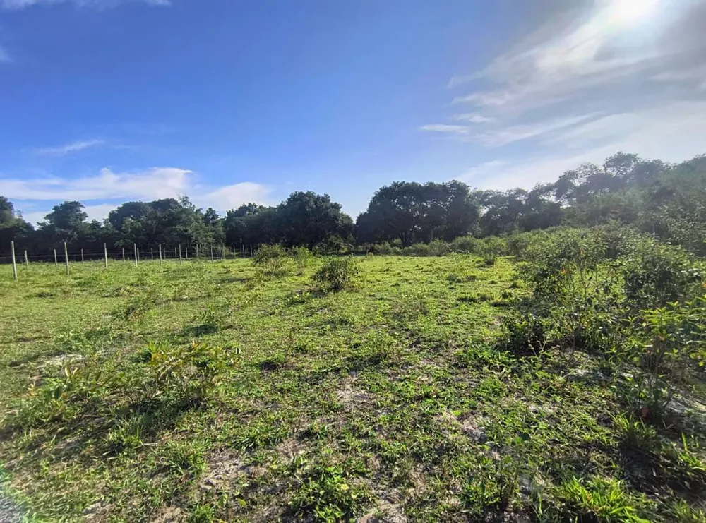 Terreno, 2350 m² - Foto 3