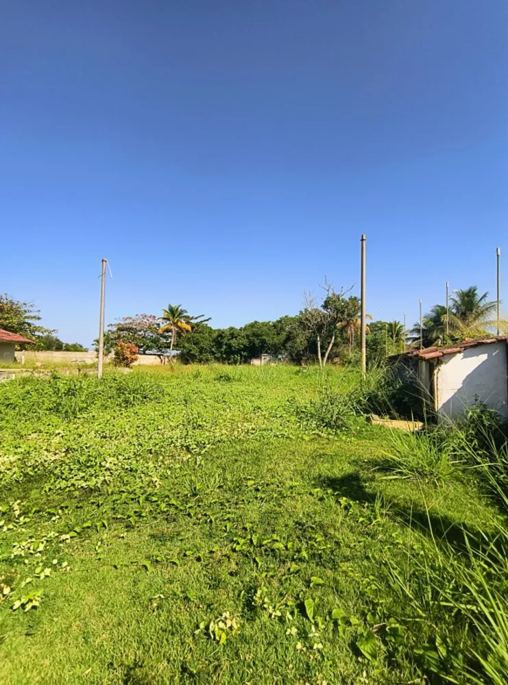Casa, 3 quartos, 1800 m² - Foto 19
