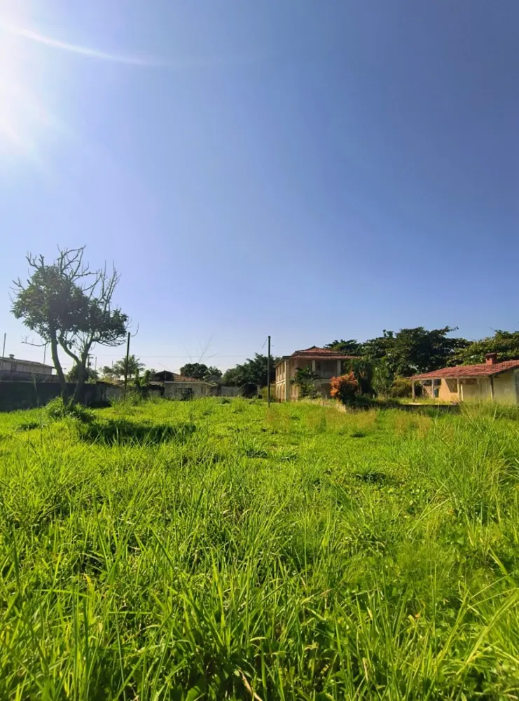 Casa, 3 quartos, 1800 m² - Foto 23