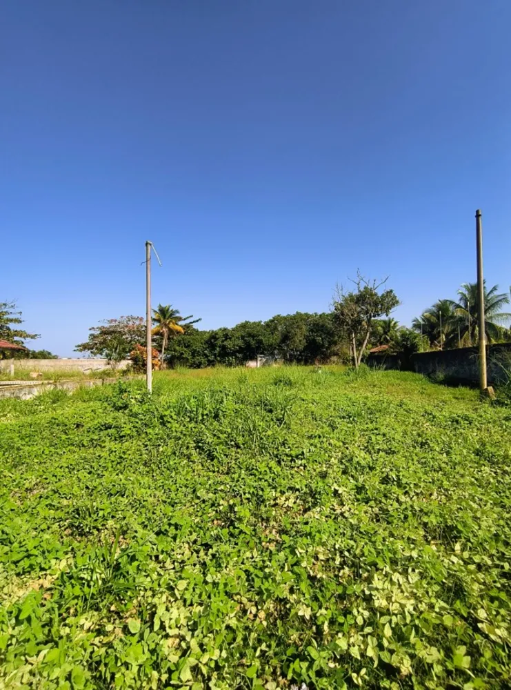 Casa, 3 quartos, 1800 m² - Foto 20
