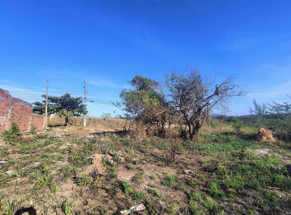 Terreno, 1000 m² - Foto 2