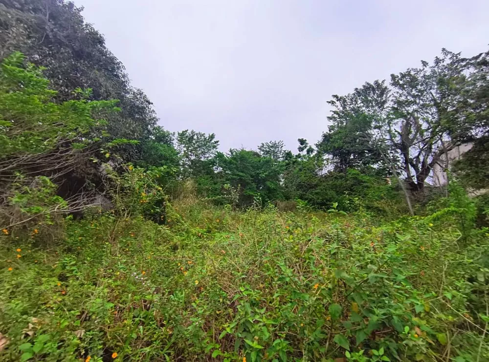 Terreno, 1490 m² - Foto 5