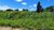 Terreno, 832 m² - Foto 10