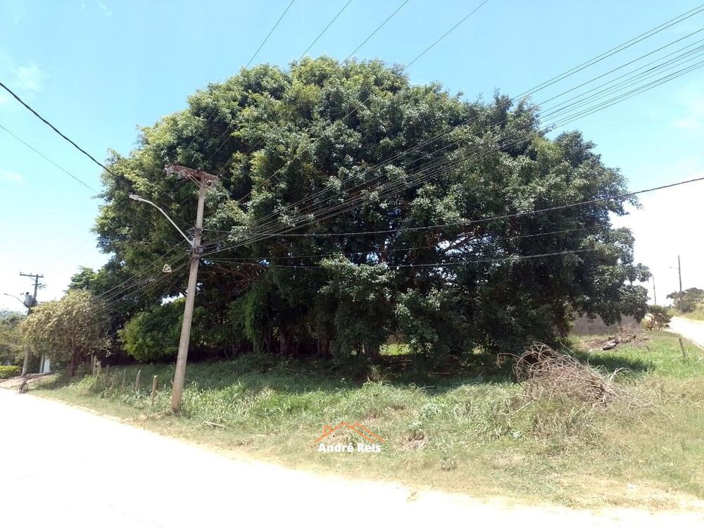 Terreno, 1366 m² - Foto 4