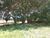 Terreno, 1366 m² - Foto 4