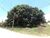 Terreno, 1366 m² - Foto 4