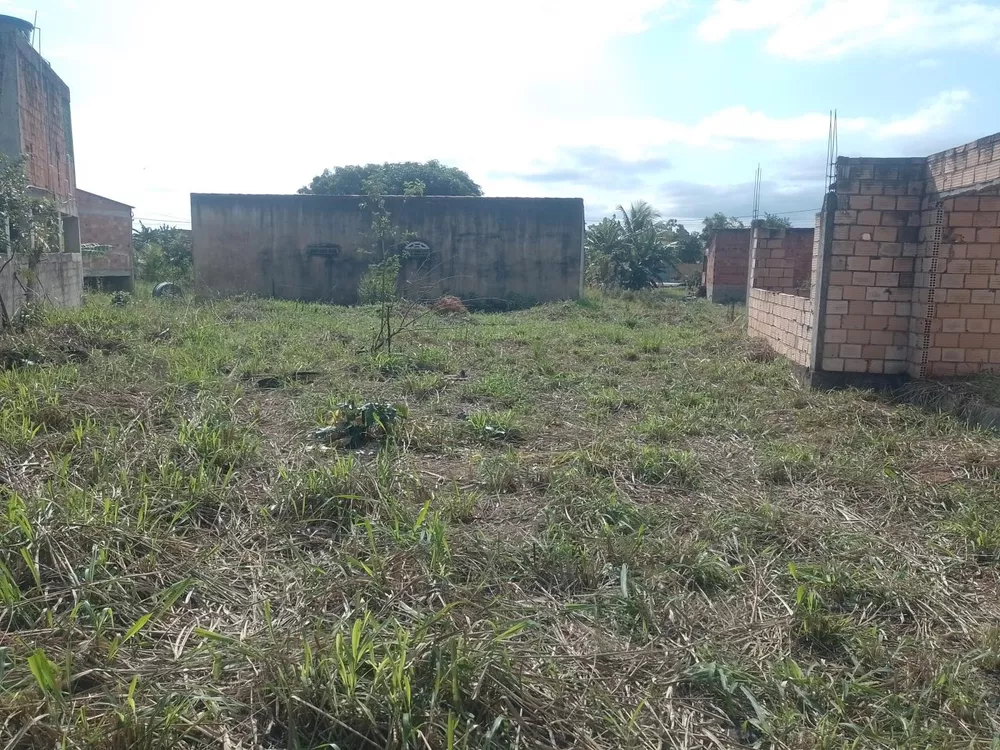 Casa, 2 quartos, 600 m² - Foto 6