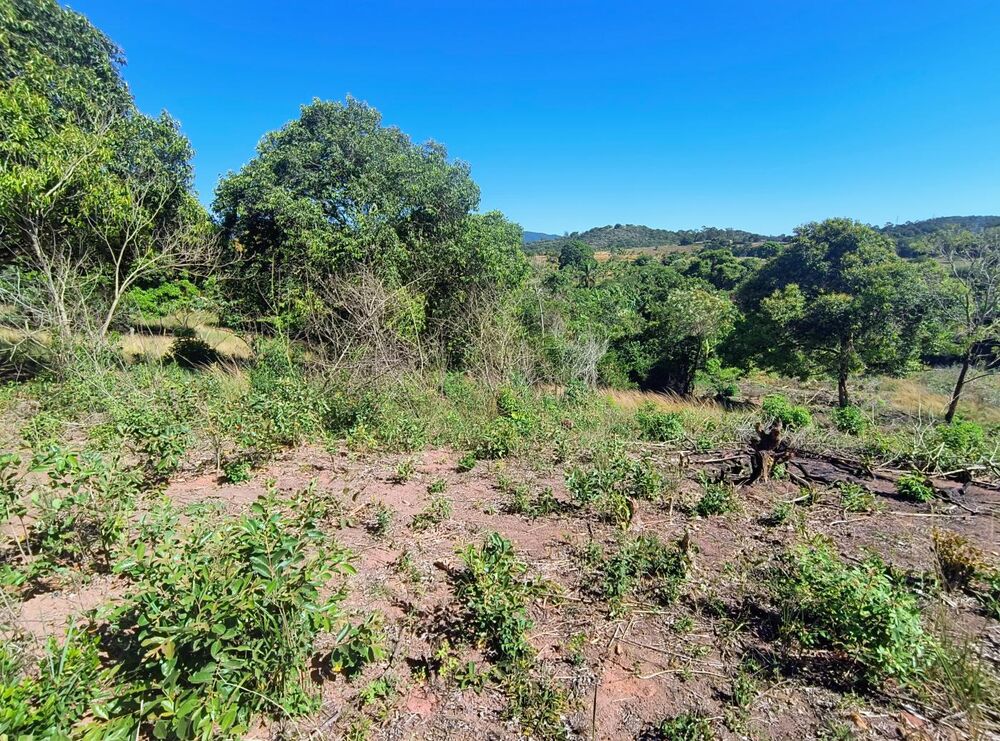 Terreno, 7614 m² - Foto 5