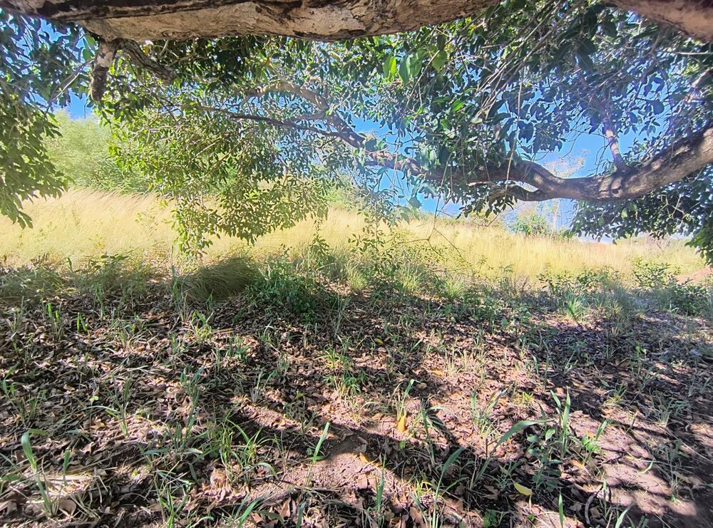 Terreno, 7614 m² - Foto 7