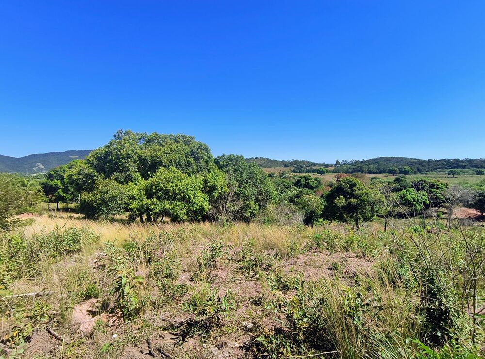 Terreno, 7614 m² - Foto 9