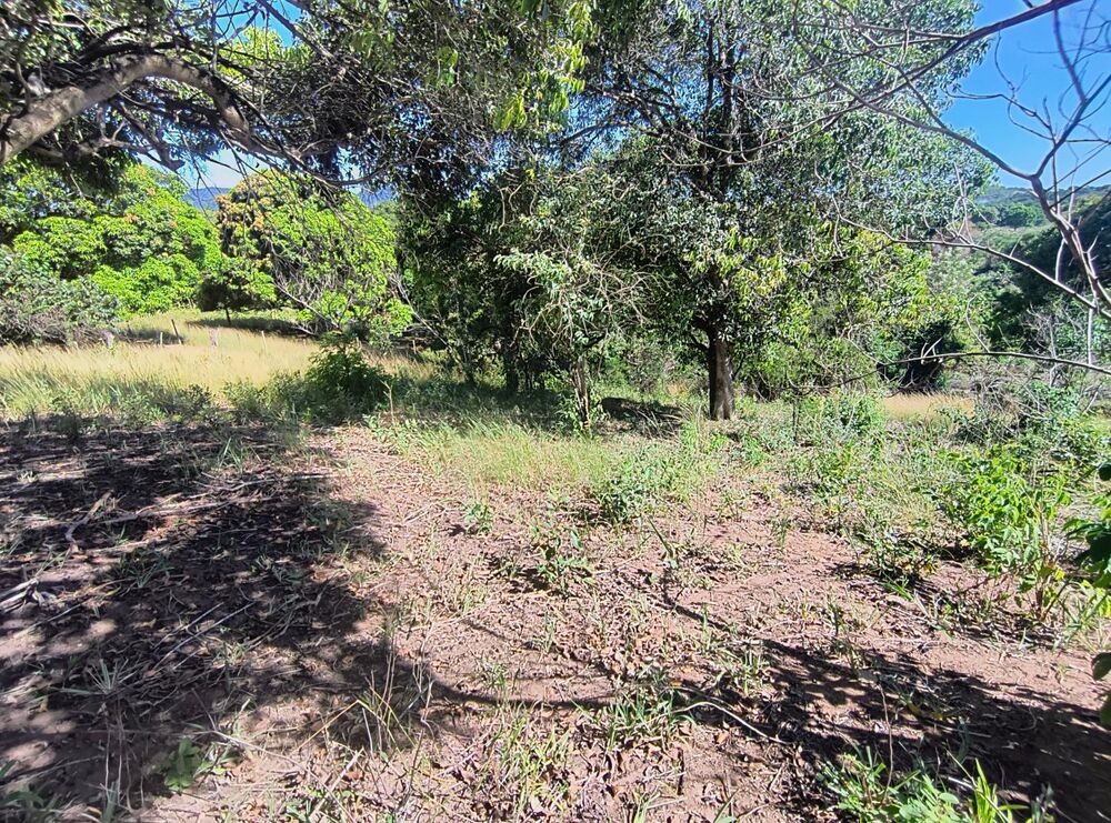 Terreno, 7614 m² - Foto 6