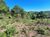 Terreno, 7614 m² - Foto 5