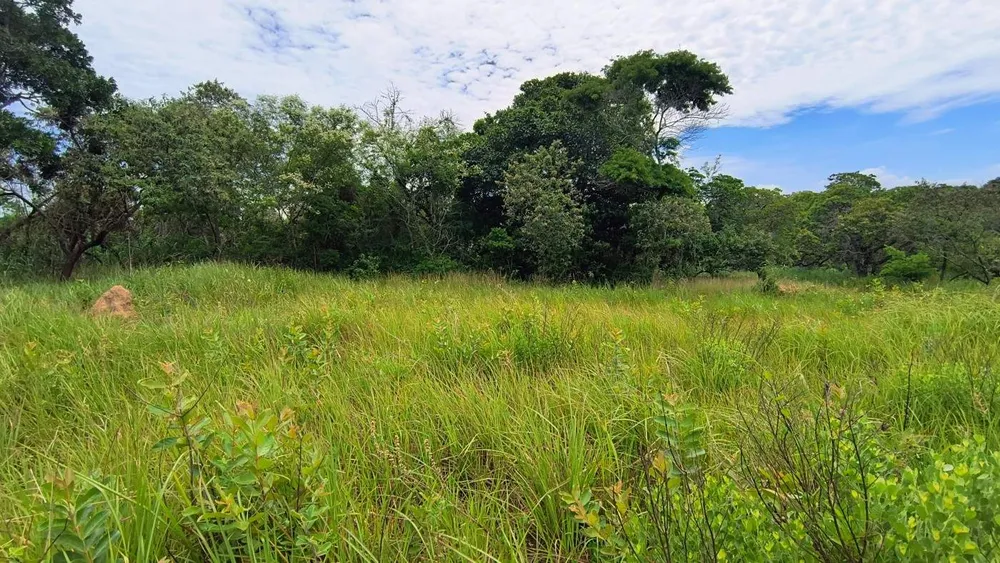 Terreno, 600 m² - Foto 10