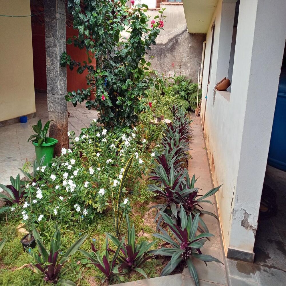Casa, 3 quartos, 450 m² - Foto 4