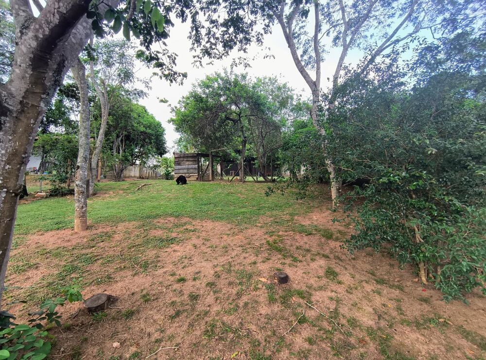 Terreno à venda, 450m² - Foto 4