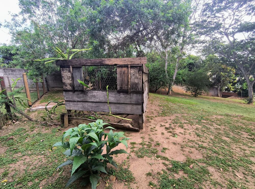 Terreno, 450 m² - Foto 3