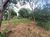 Terreno, 450 m² - Foto 4